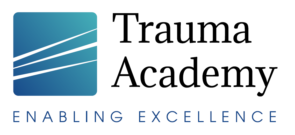 Kurs mit TRAUMA ACADEMY